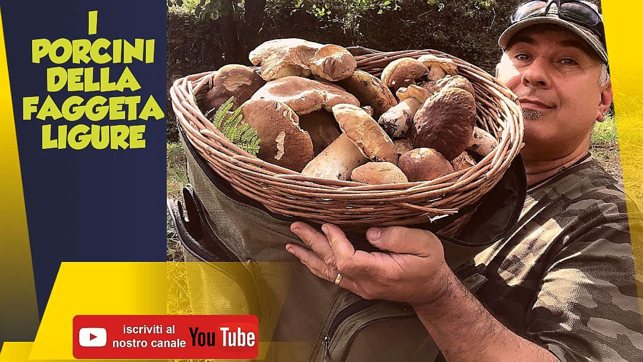 I PORCINI DELLA FAGGETA LIGURE