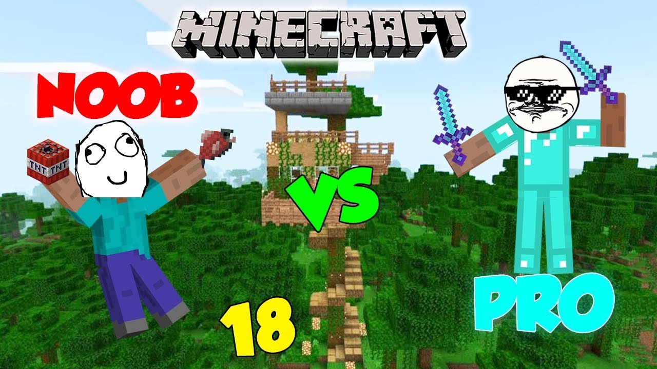 NOOB VS PRO - MINECRAFT 18
