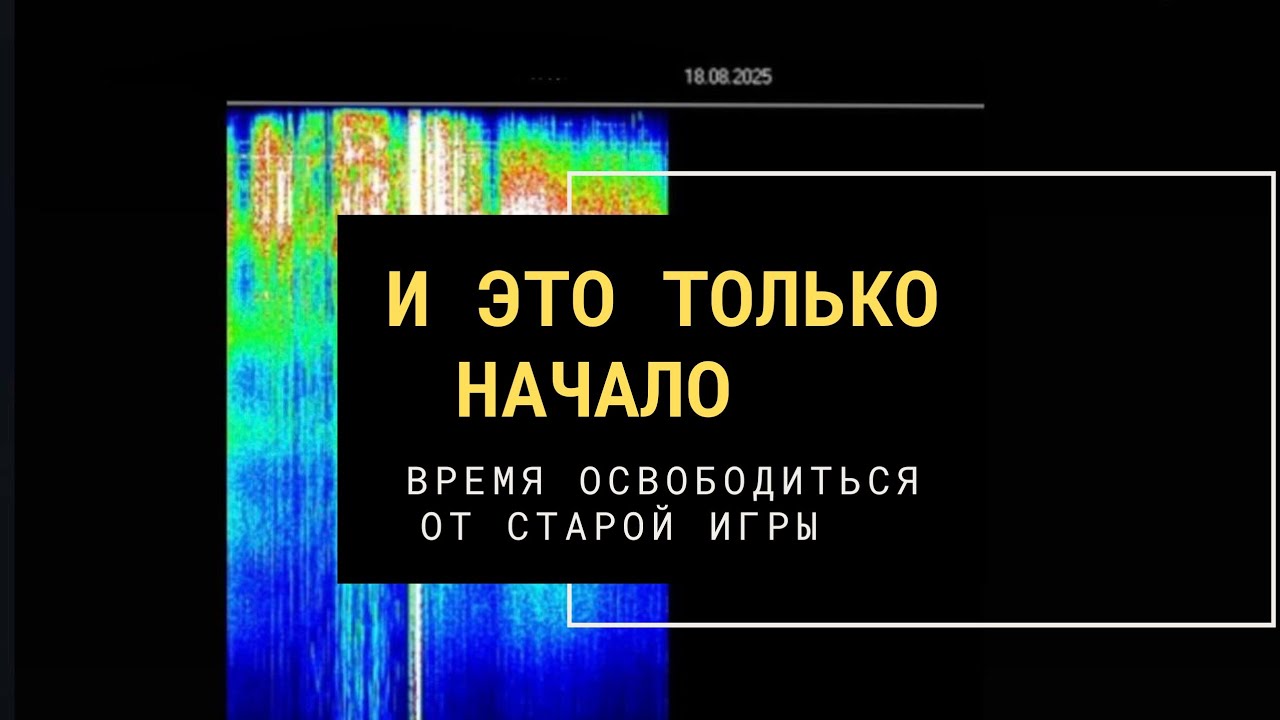 Трансформация через бережность: как Мягкость может способствовать Силе 