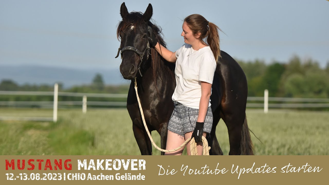 Start der Youtube Updates - MUSTANG MAKEOVER 2023