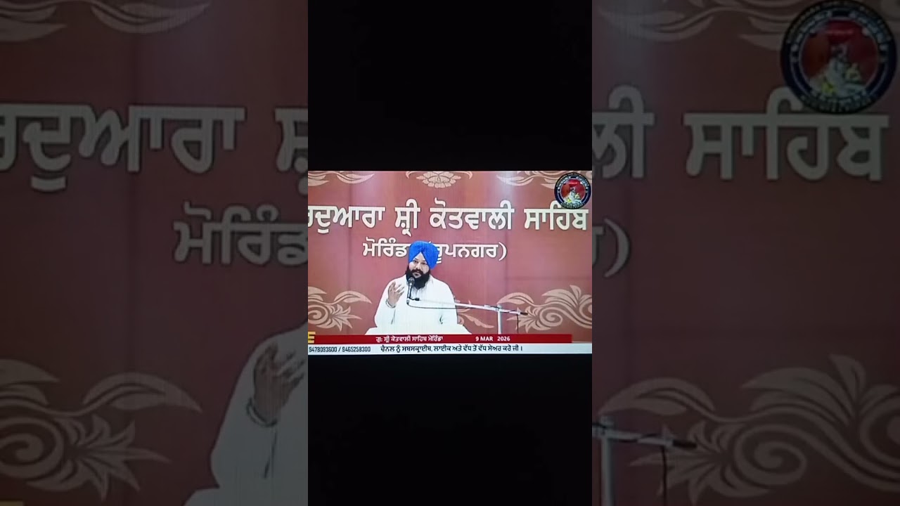 ਲਾਈਵ ਹਾਈਲਾਈਟ