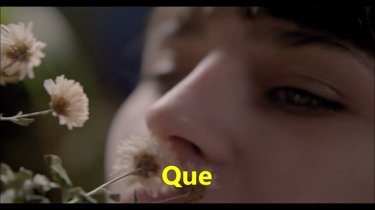 PETITE FLEUR       TRADUÇÃO