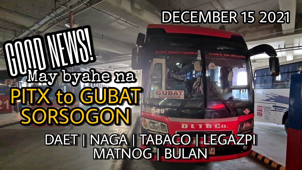 DLTB PROVINCIAL BUS UPDATE 2021 | PITX MANILA TO GUBAT, DAET, NAGA, TABACO, LEGAZPI, MATNOG, BULAN