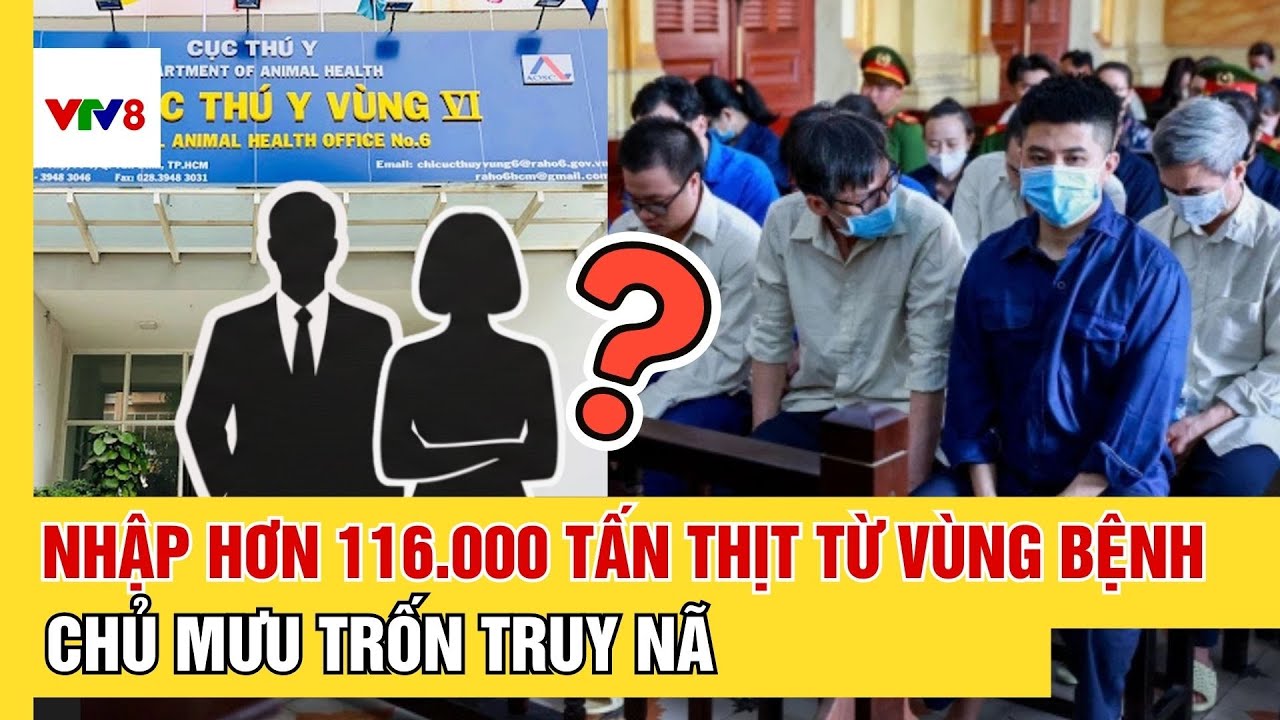 Nhập hơn 116.000 tấn thịt từ vùng bệnh, vợ chồng giám đốc trốn truy nã, hàng loạt cán bộ hầu tòa