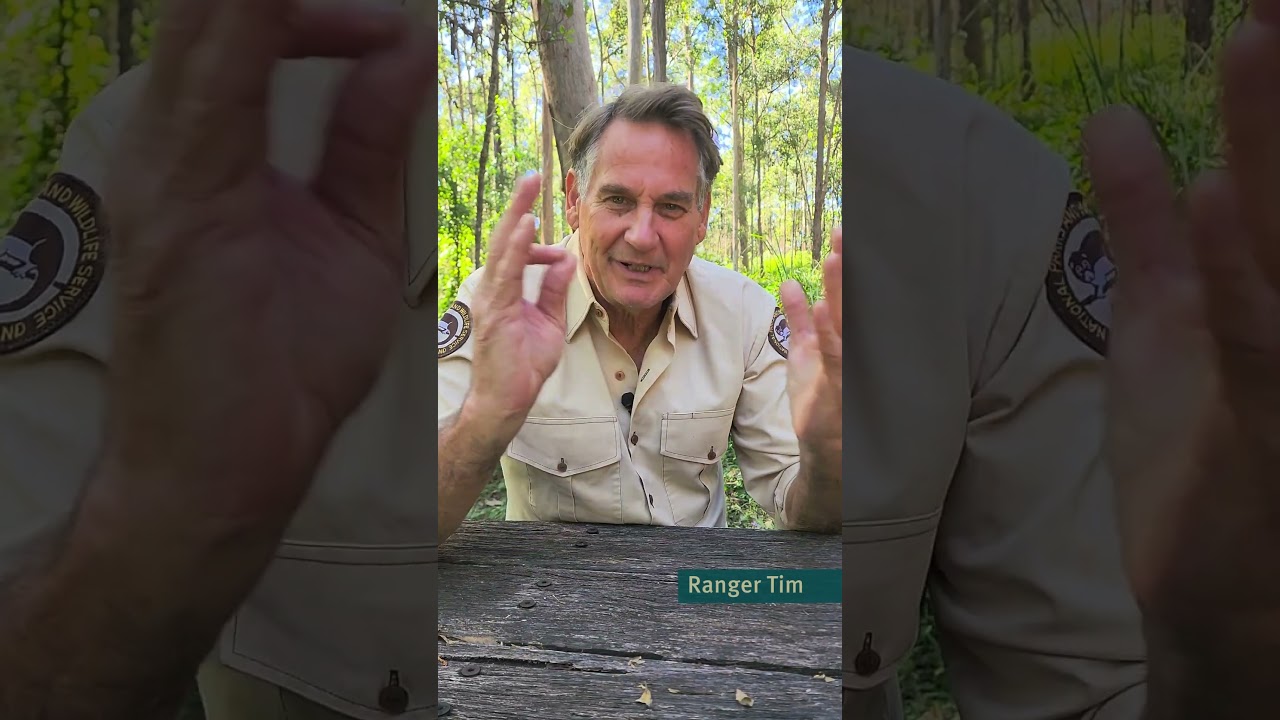 What are their hopes for the future? #QuestionAndAnswer #Conservation #Ranger #TotallyWild #QLDParks