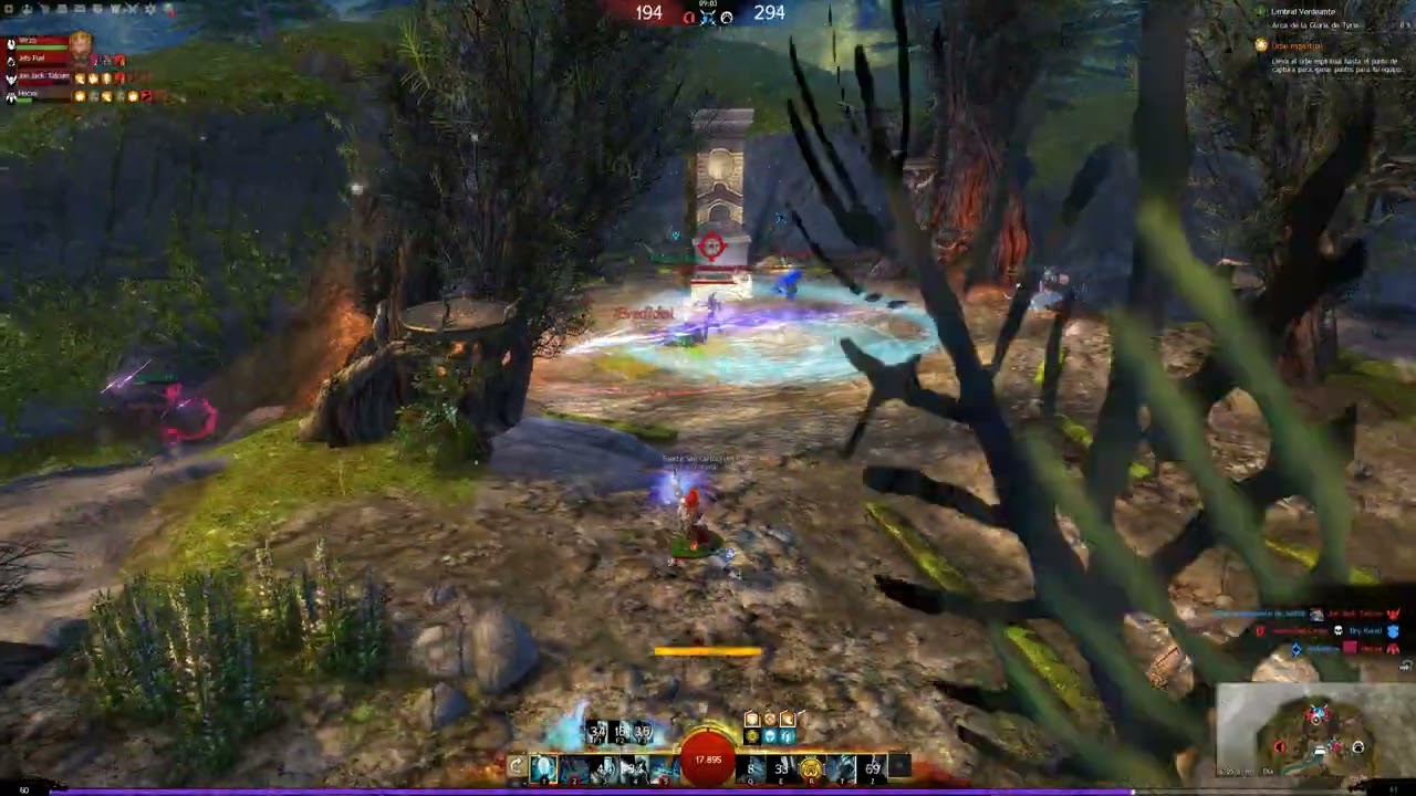 Guild Wars 2 Combat Healer