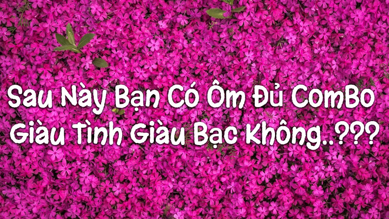 Sau Này Bạn Có Ôm Đủ ComBo Giàu Tình Giàu Bạc Không...?? chọn 1 tụ bài #nhubinhtarot