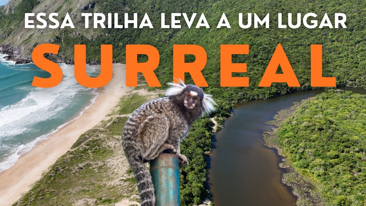 Vale a pena fazer a trilha da lagoinha do leste?