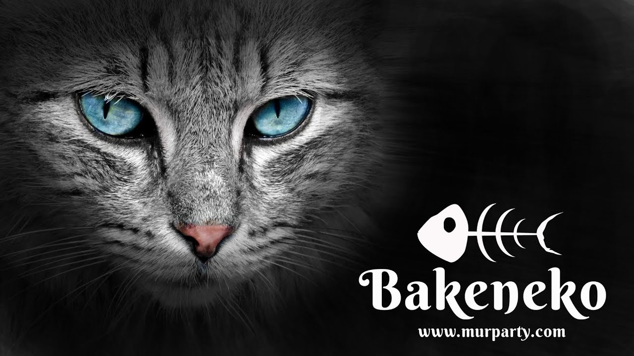 [Murparty] Bakeneko