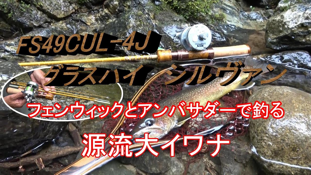 フェンウィックFS49CUL-4J グラスハイ・シルヴァンとアンバサーで釣る新潟源流大イワナ #fenwick 　　#フェンウィック