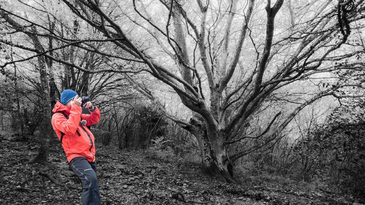Black And White Photography Hiking Up A Steep Forest