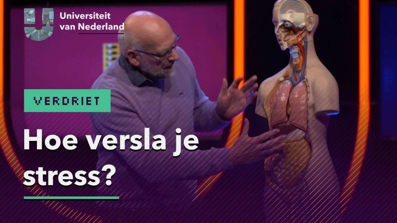 Hoe versla je stress ? | VERDRIET