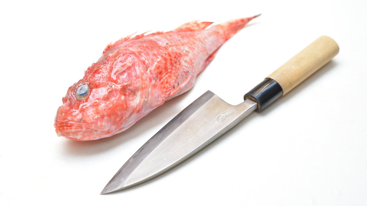 【ASMR】関孫六 出刃包丁でオニカサゴを捌く～三枚おろしにして刺身にする捌き方【音フェチ／手フェチ】【捌き方】【魚さばき】Filleting Fish