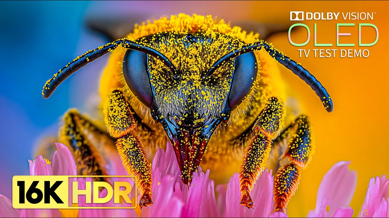 World's Most Stunning 16K HDR 120 fps | Dolby Vision (8K/4K TV)