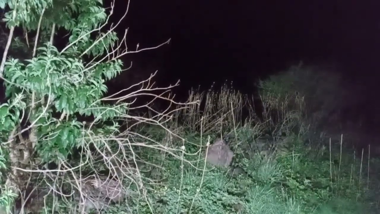 Una mas desde el cuarto de la bruja junto a poltergeist
