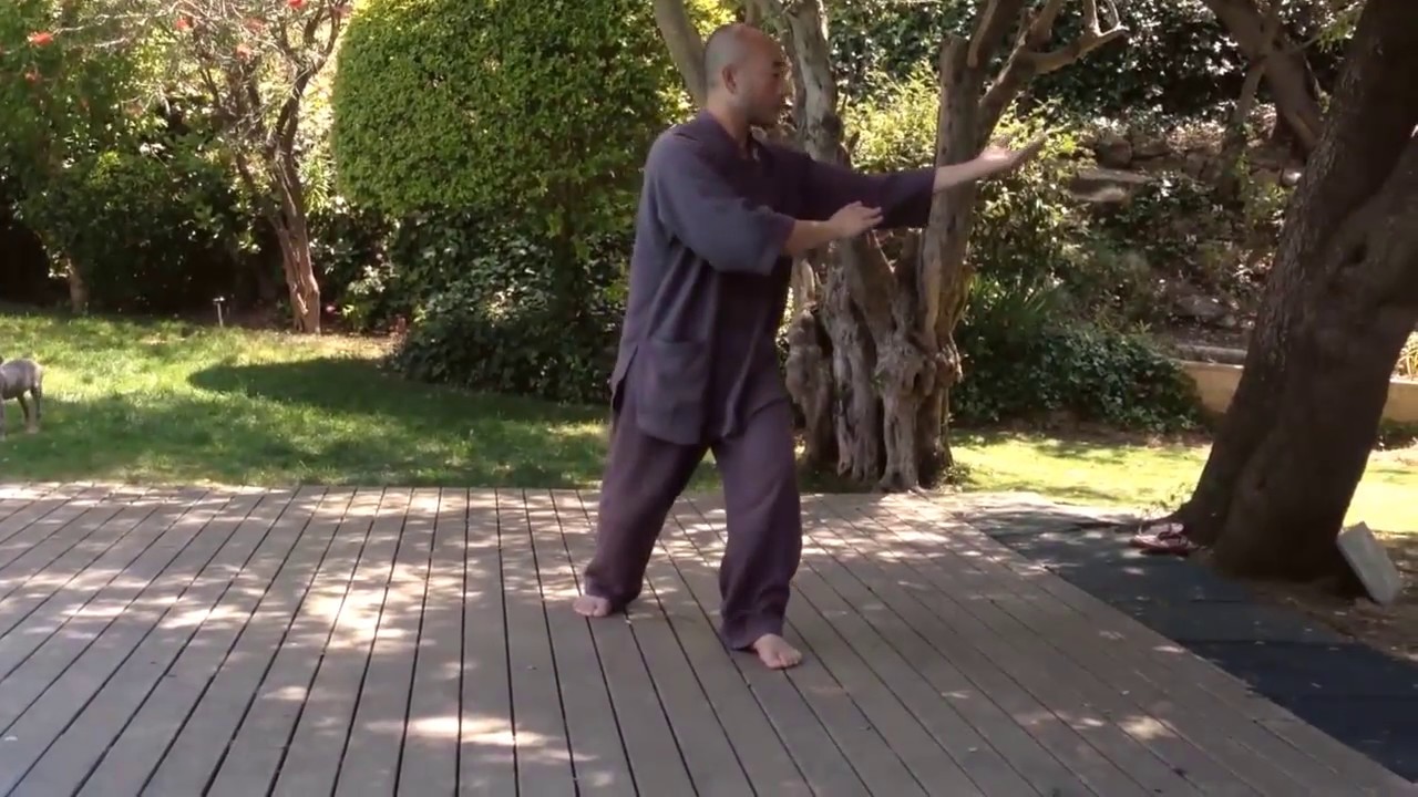 Qi Gathering Method (Caiqi Gong) by Master Liu Deming