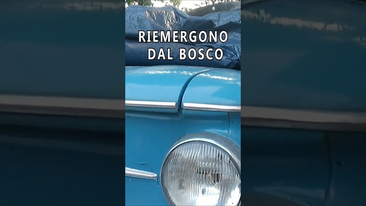 AUTO ABBANDONATE ANNI '60 RIEMERGONO DAL BOSCO #urbex #auto #abandonedcar #lancia