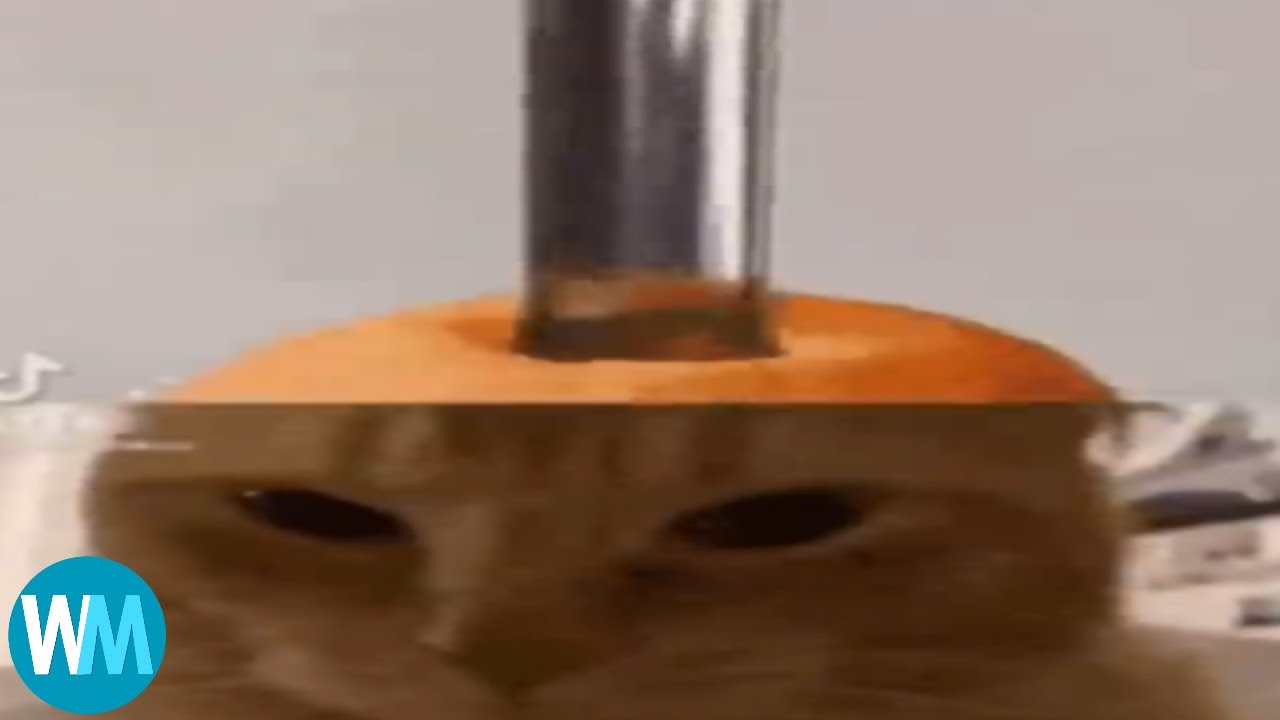 Top 5 random gifs #gifs #top5 #memes