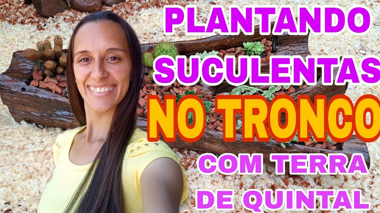 Plantando SUCULENTAS NO TRONCO  com TERRA DE QUINTAL