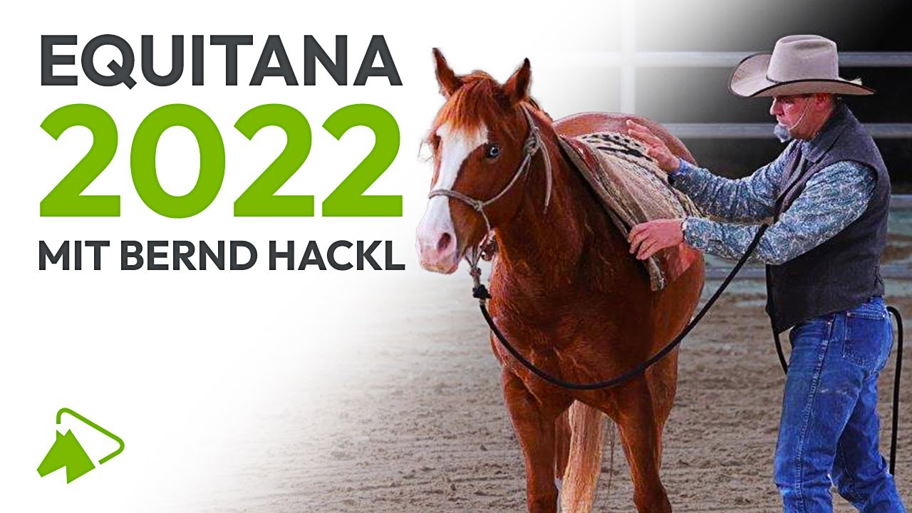 Horsemanship Übungen im Roundpen | Bernd Hackl LIVE auf der EQUITANA 2022 | wehorse