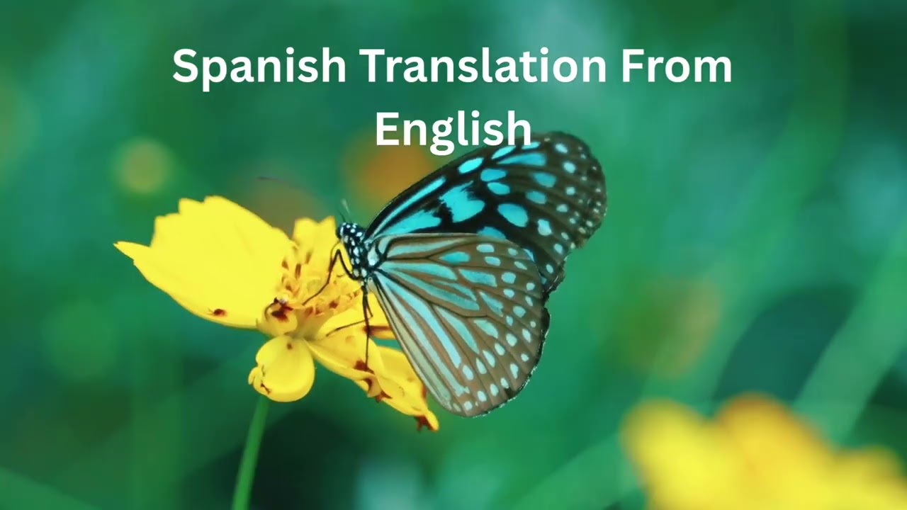 Translate Any Video Language To Any Other Language Listed On Youtube Auto Translate Menu