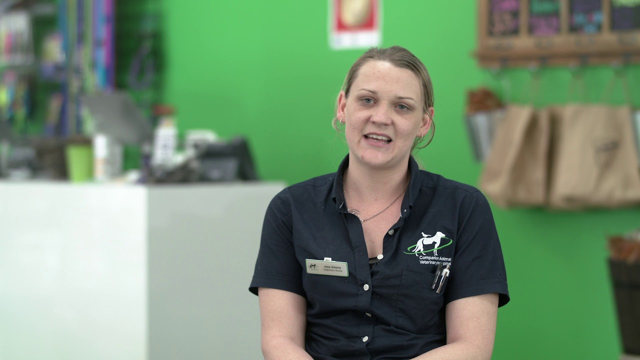 Join the CAVH vet team
