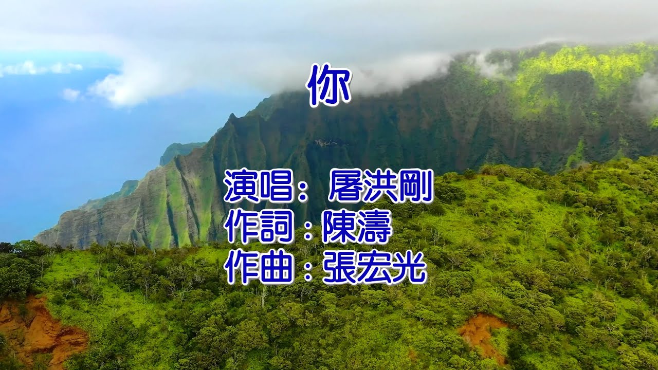 你   屠洪刚