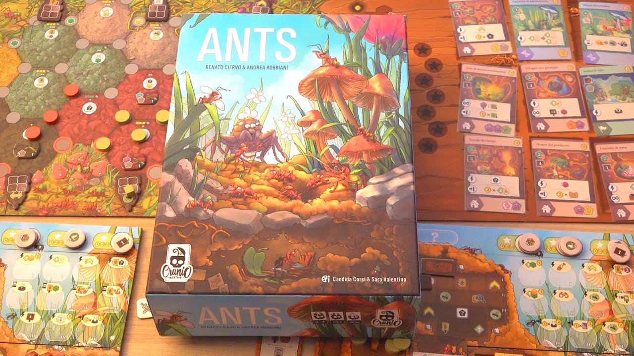 Ants - formiche dischettose su pattern colorati