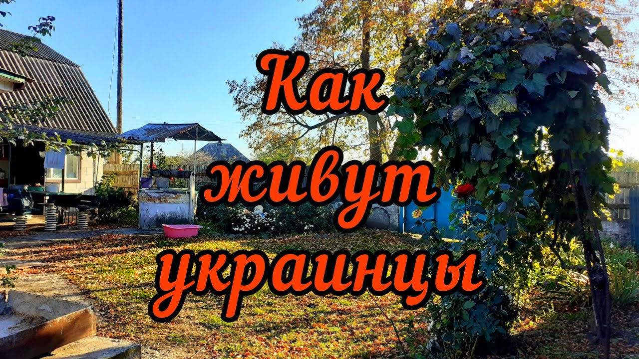 Обзор дома. Сельский двор на Слобожанщине.🇺🇦 Харьков, октябрь 2022.