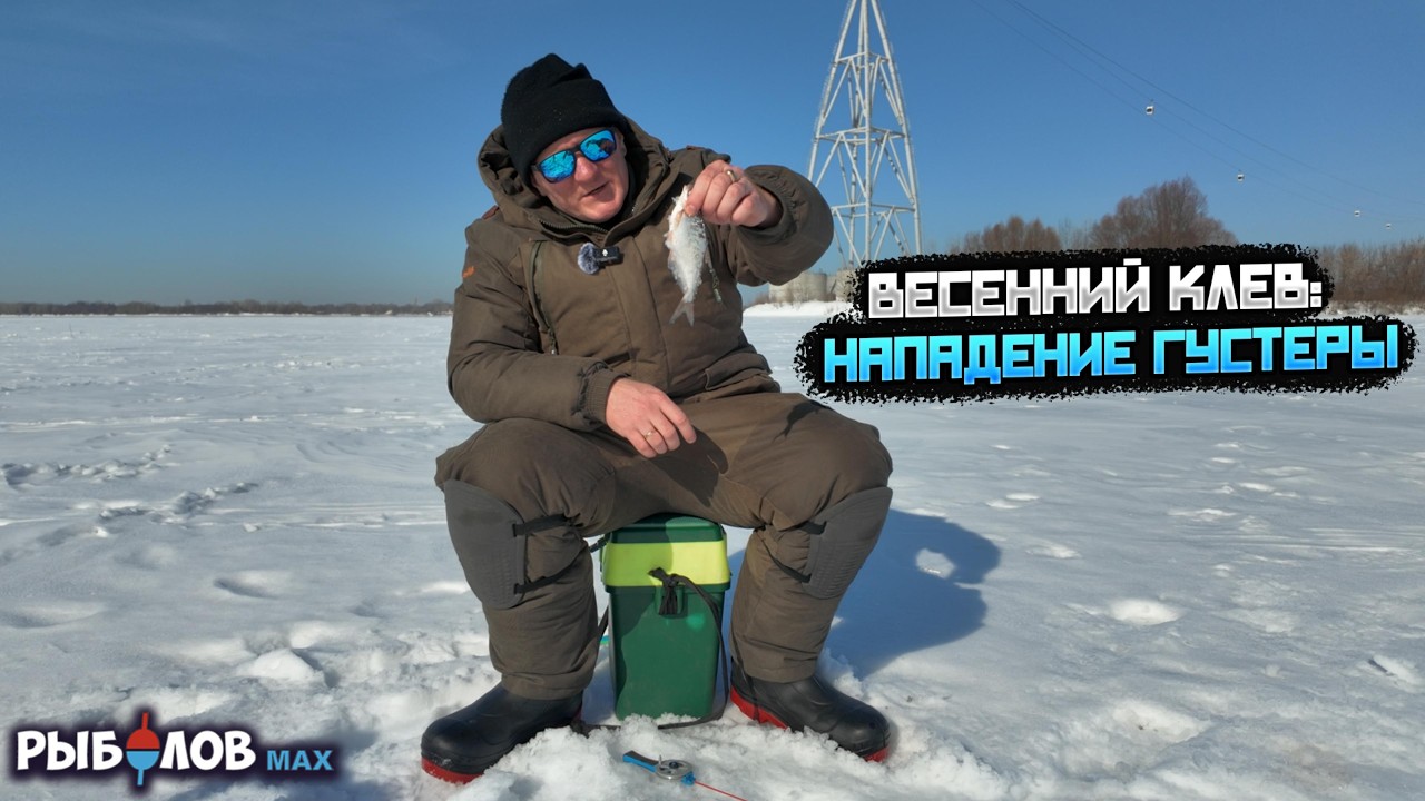 Смогу ли я заставить плотву клевать? Эксперимент на Волге. Плотва не пришла — зато густера радует