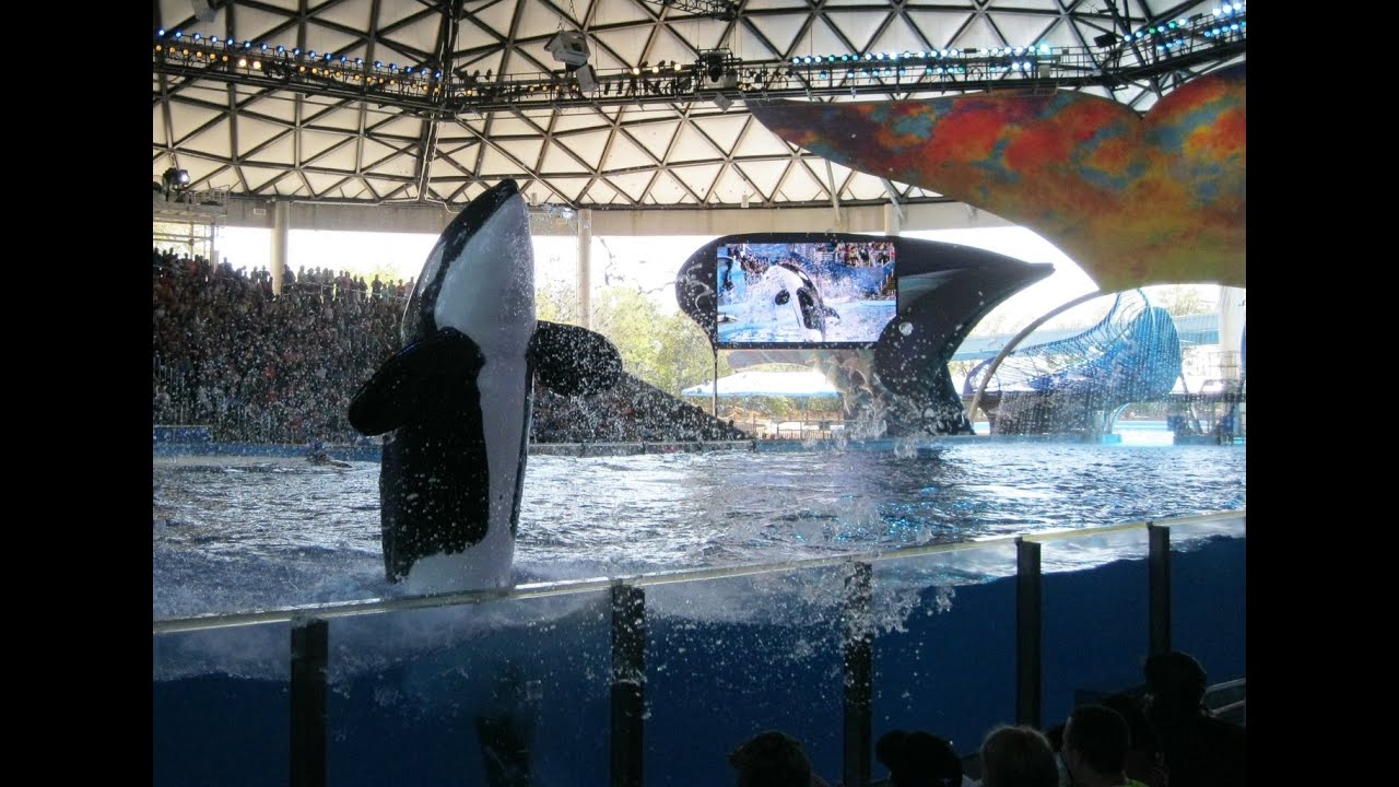 SeaWorld San Antonio 2025 NEW tips and changes!