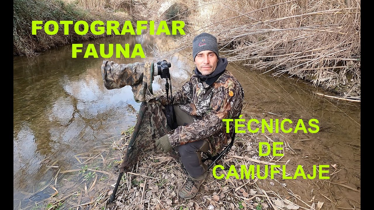 Fotografiar fauna. Técnicas de camuflaje que a mi me funcionan