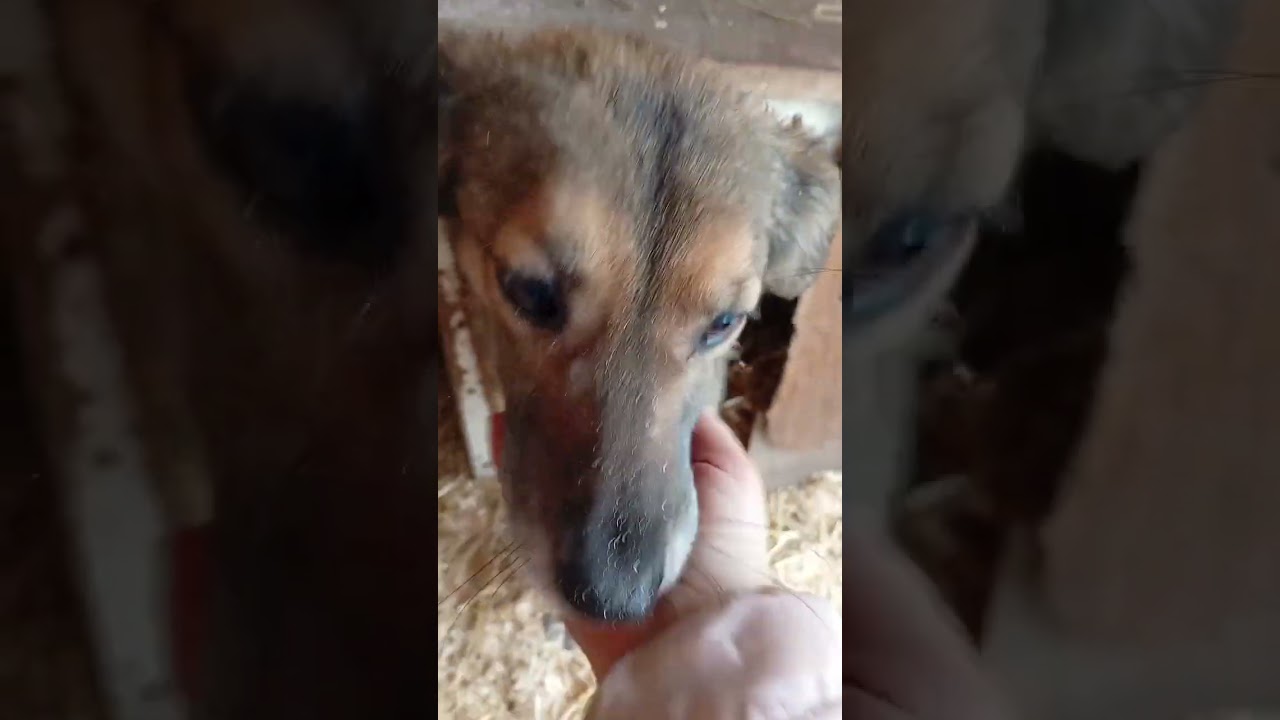 Вихідний, прибирання, приємного перегляду мої любі ♥️
