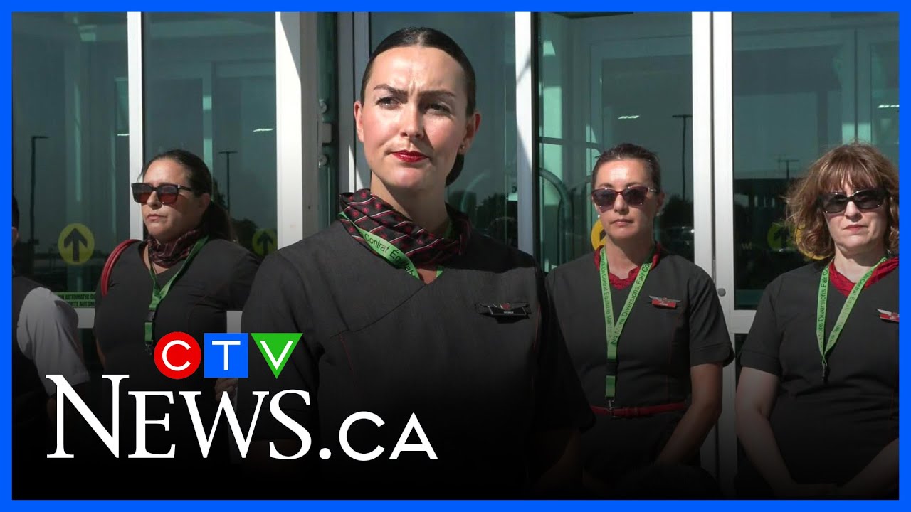 ‘We have had enough’ | CUPE Local 4094 on Air Canada flight attendant’s strike