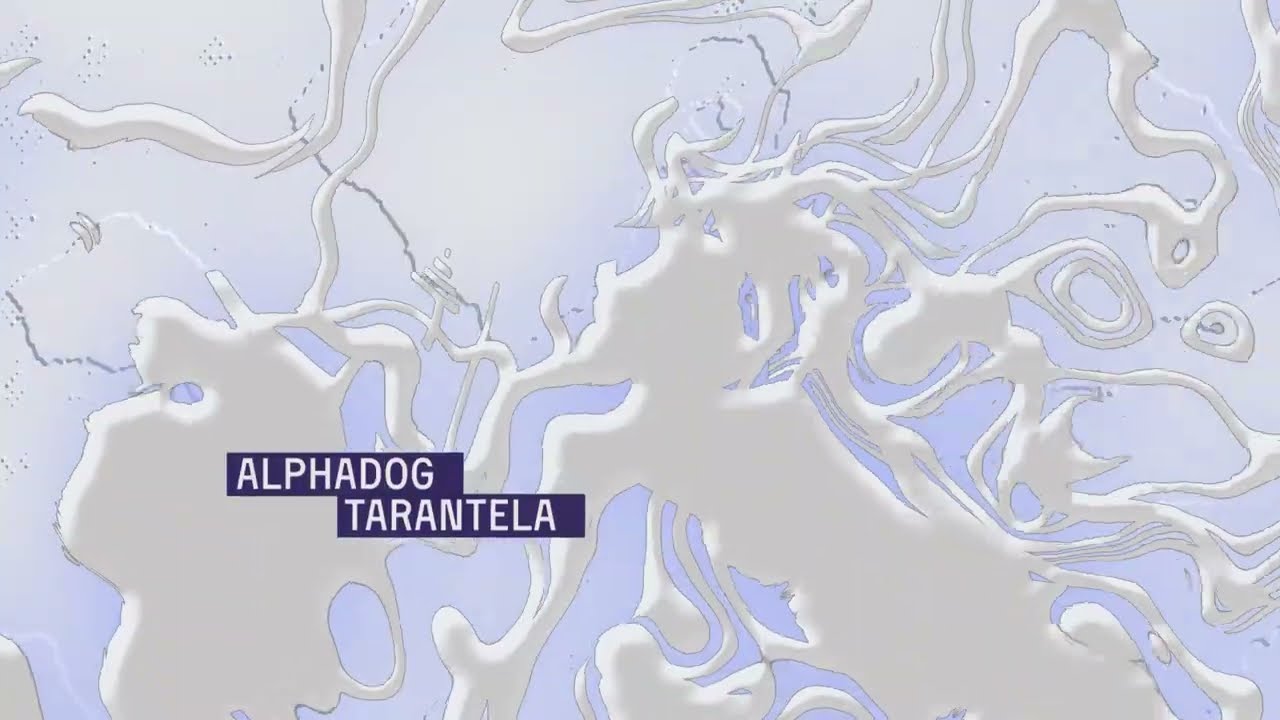 Alphadog - Tarantela