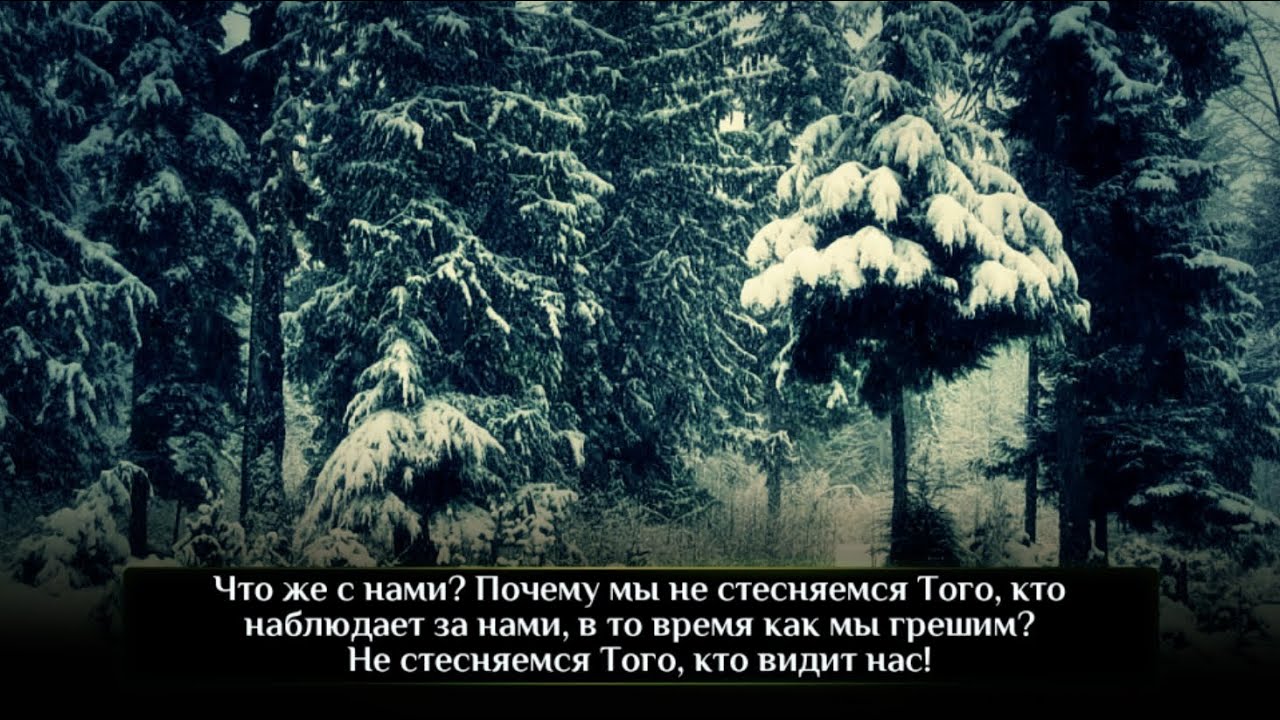 Неужели ваши глаза не увлажнятся слезами, о мусульмане? Хатим Фарид - дуа.