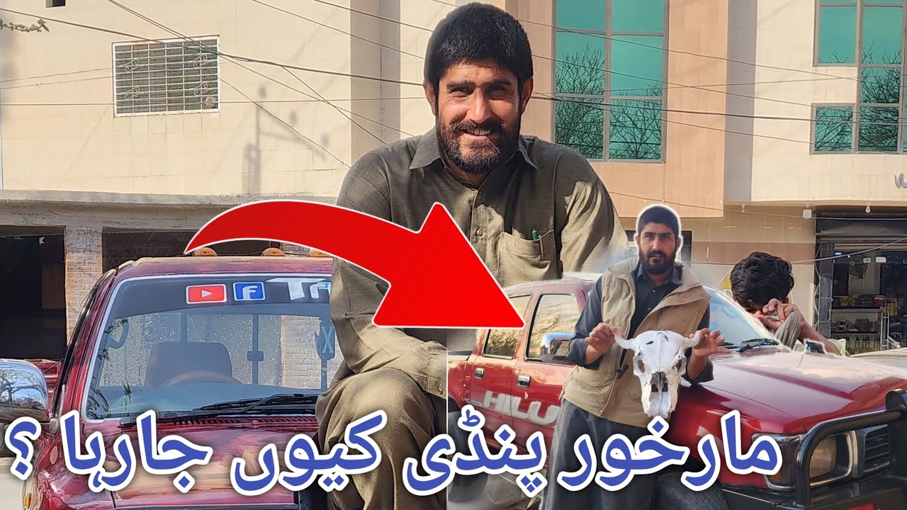 Markhoor ko hum pindi la kar ja rahe hain || Markhoor maintainess part 1 #pindi 