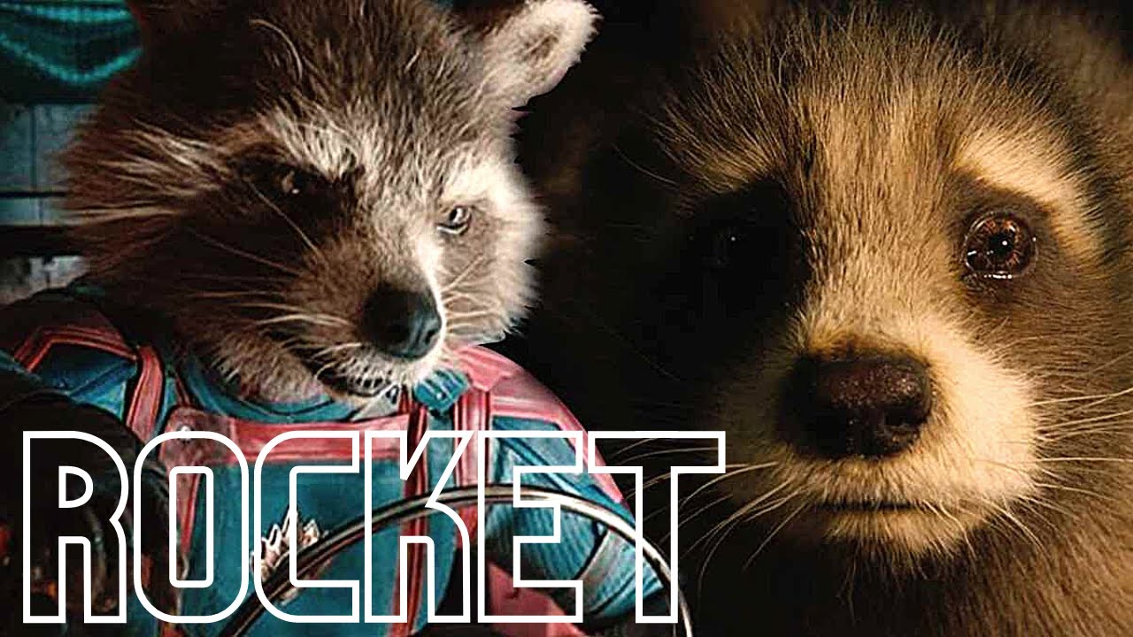 Rocket Racoon | Creep | Guardians of the Galaxy Vol. 3
