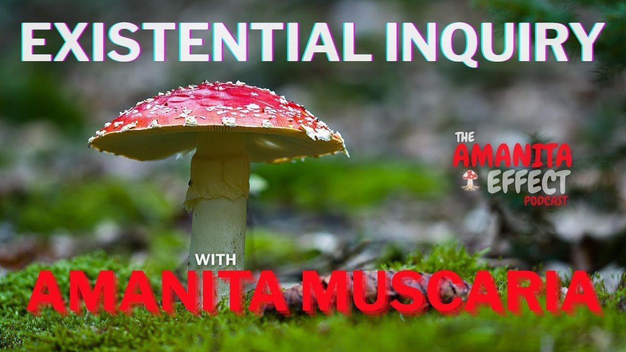 Existential Inquiry with Amanita Muscaria