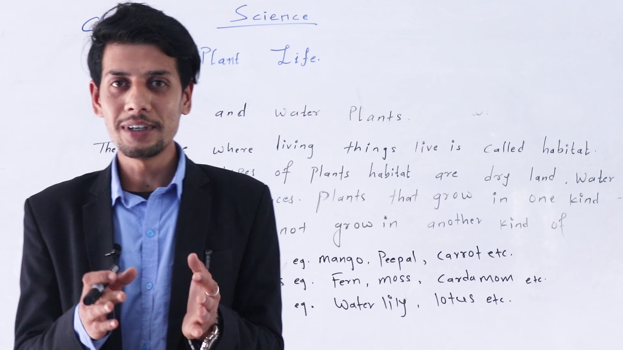 Class 3, Science, Part 3, Plant Life
