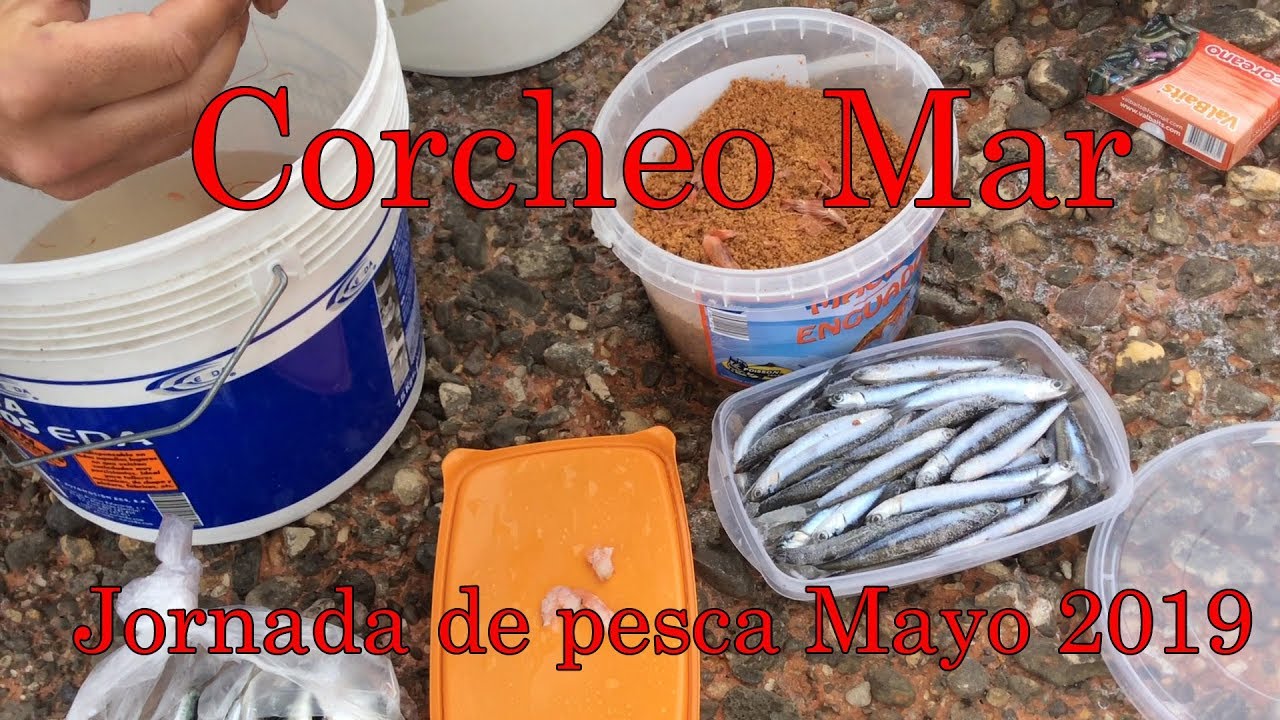 Interesante Jornada de pesca a corcheo mar mayo 2019.Engodos y cebos utilizados