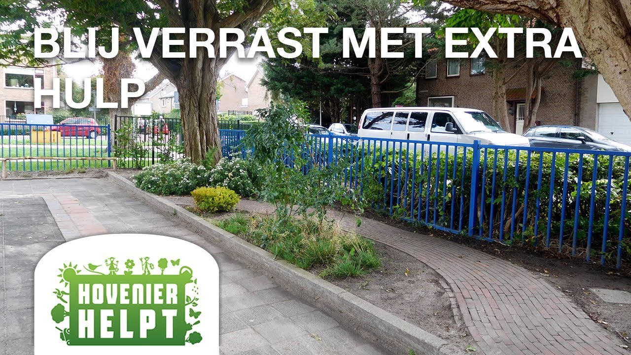 Hovenier Helpt - Hoveniersbedrjif Rens de Rooij in actie in Hillegom