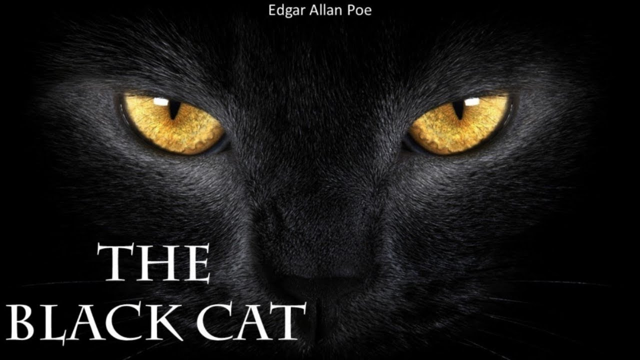 The Black Cat : Edgar Allen Poe...... Explained in Hindi with Animation