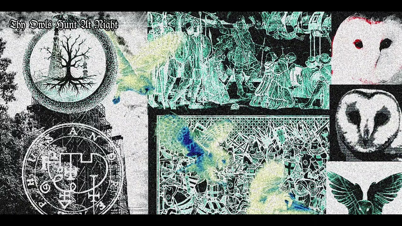 𝔗𝔥𝔶 𝔒𝔴𝔩𝔰 ℌ𝔲𝔫𝔱 𝔄𝔱 𝔑𝔦𝔤𝔥𝔱--𝔈𝔭