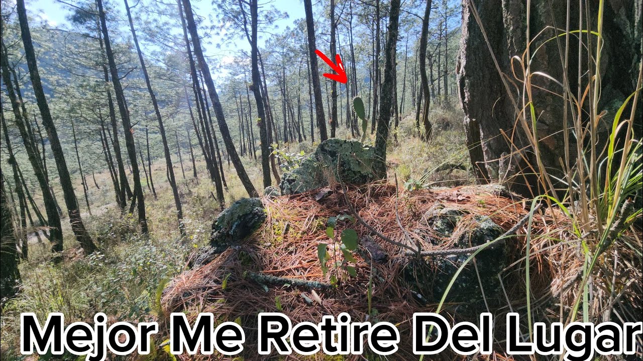 Mejor Me Fui Del Lugar Algo Hacian Sospechoso 