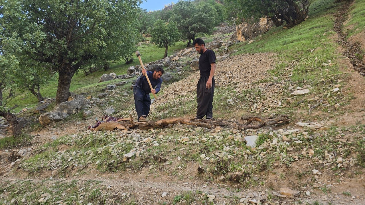 Journey to the Mountains | Nomadic Life and Firewood Gathering with a Donkey in Untouched Nature 🫏 🏞