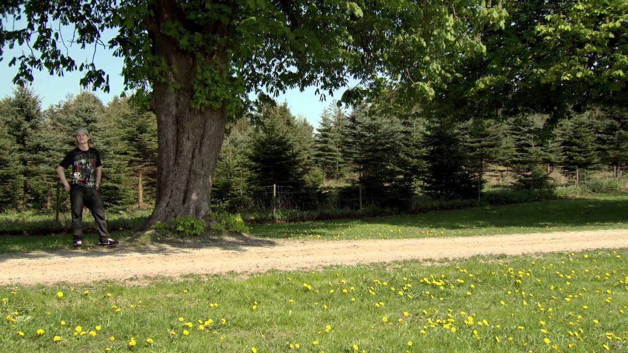 Dansk Kennel Klub - 'Når Hunden er Aggressiv'