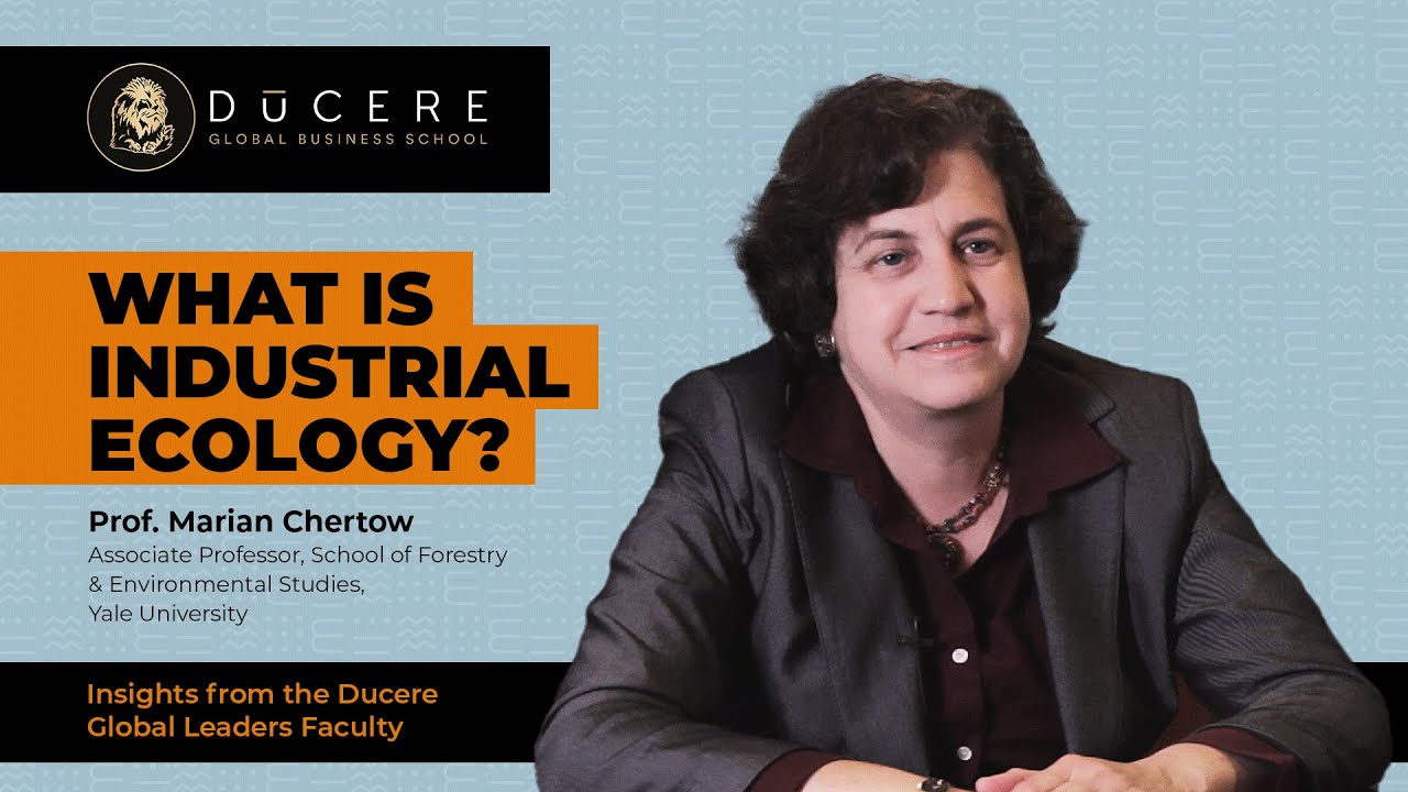 Marian Chertow &ndash; What is Industrial Ecology?