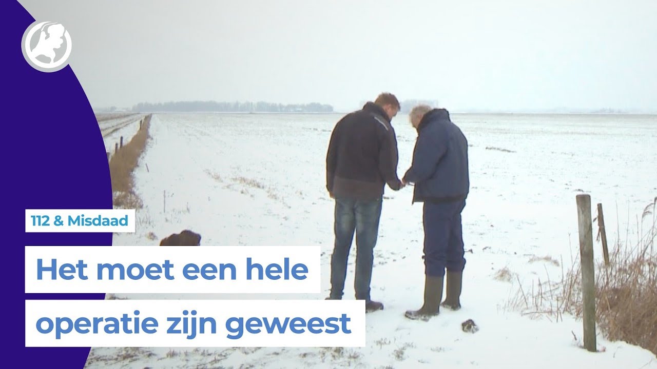 Onverlaten stelen 100 drachtige schapen uit weiland