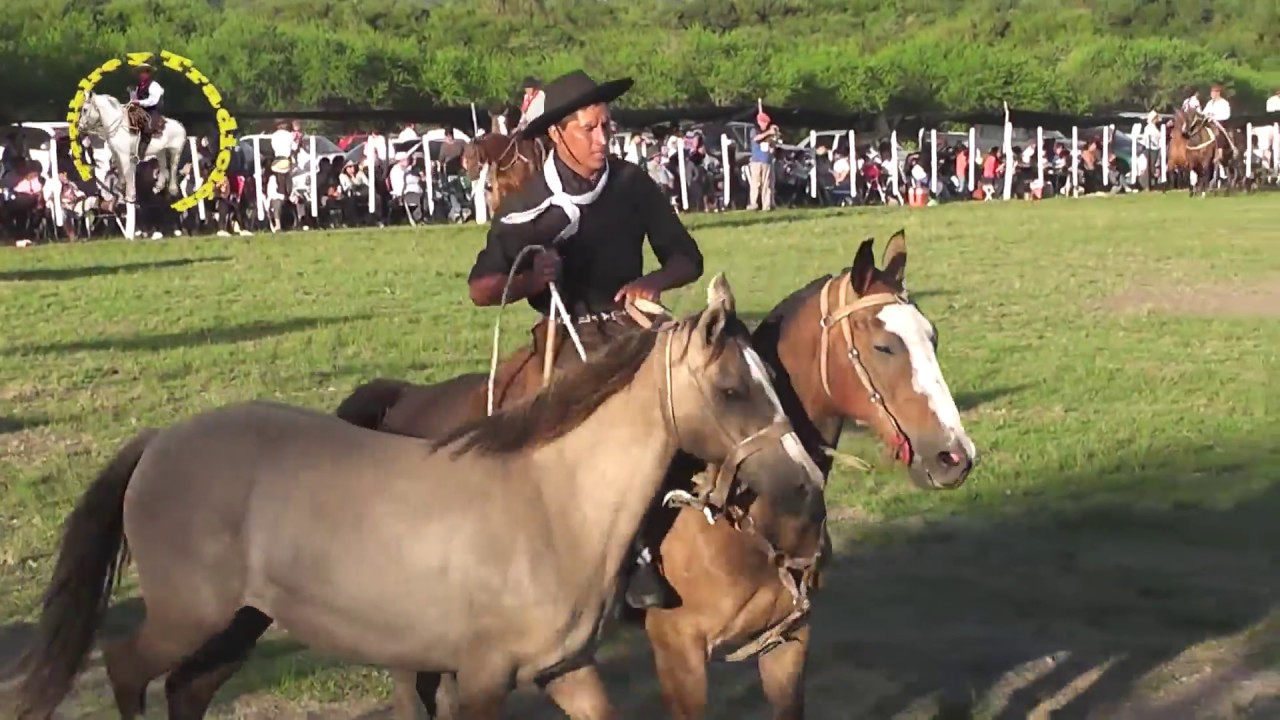Espectacular Broche de oro (Pocas veces visto ) para aplaudir de pie -Feliciano Entre Ríos -caballos